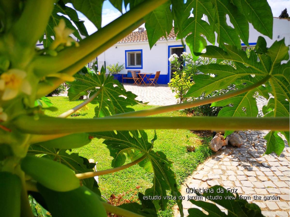 Quintinha Da Foz Guest House Sao Pedro  Ngoại thất bức ảnh
